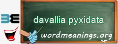 WordMeaning blackboard for davallia pyxidata